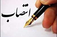 انتصاب در سازمان منطقه آزاد کیش