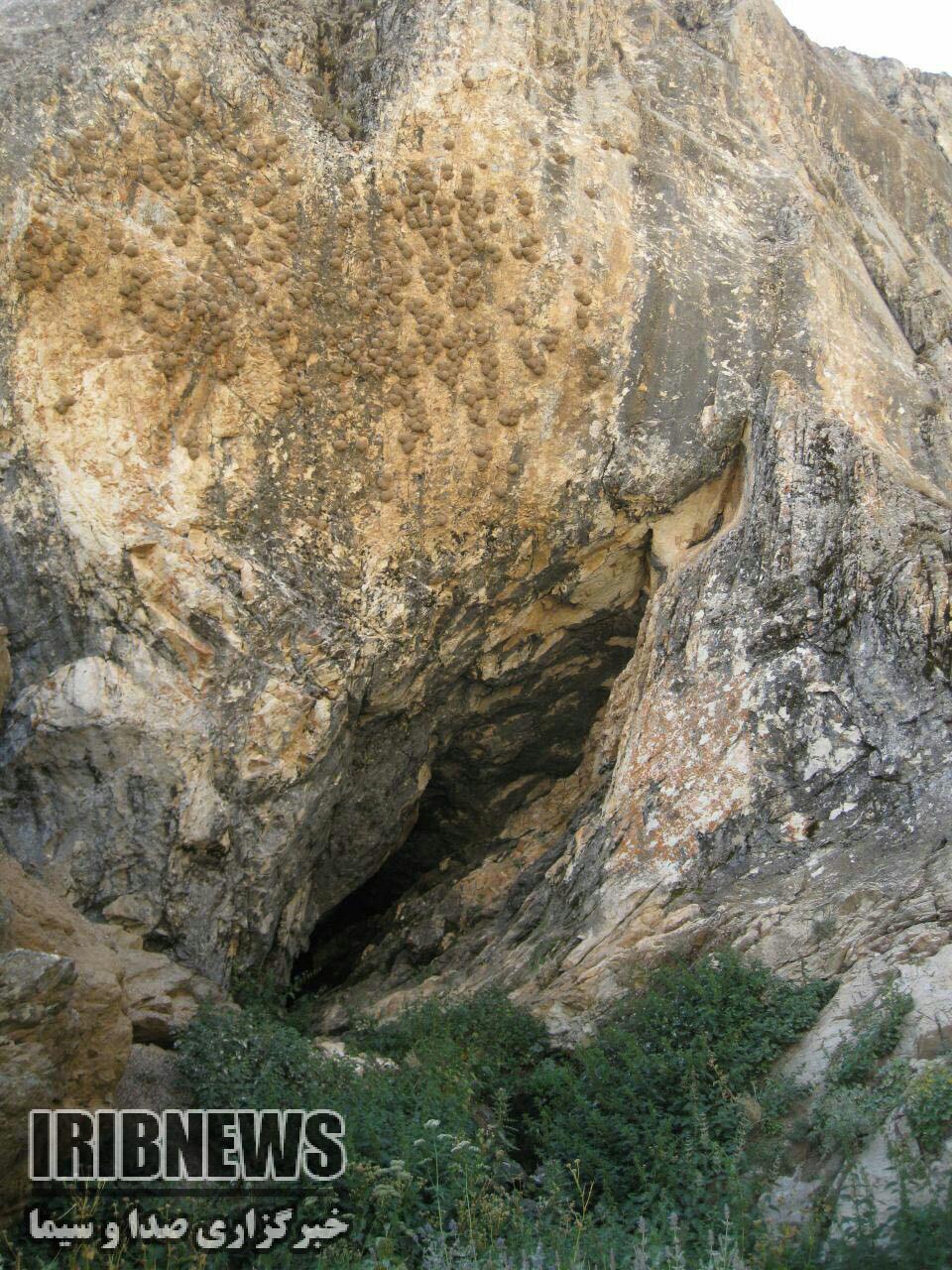 کشف غار جدید در اشنویه