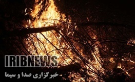 آتش سوزی در بیش از ۱۰ هکتار مرتع ارتفاعات بازی دراز
