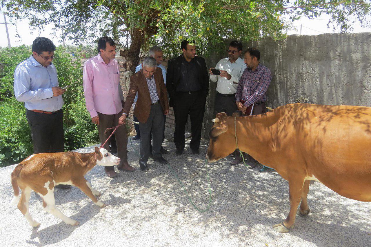 افتتاح دو طرح در ریگان افتتاح دو طرح در ریگان