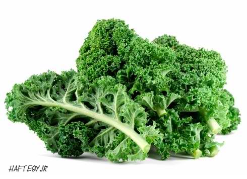 گیاهانی از جنس آهن