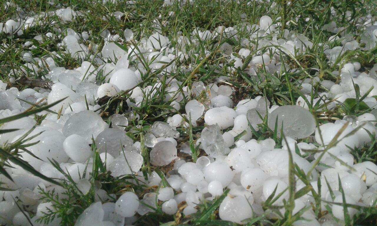 بارش باران و تگرگ در شیراز