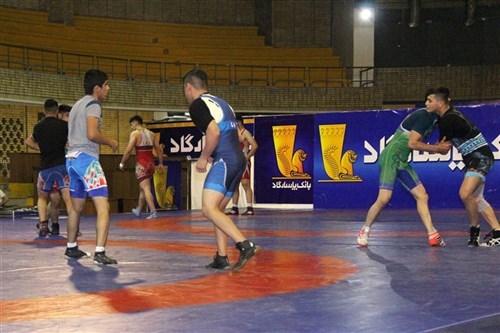 برگزاری اردوی تیم ملی کشتی فرنگی