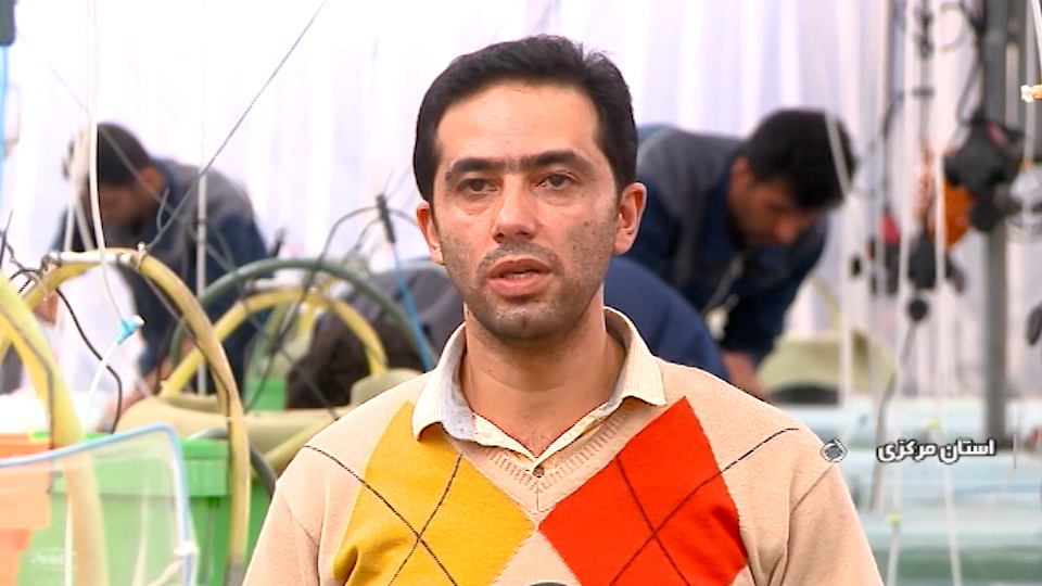 ارزآوری با رنگارنگ های زینتی ارزآوری با رنگارنگ های زینتی