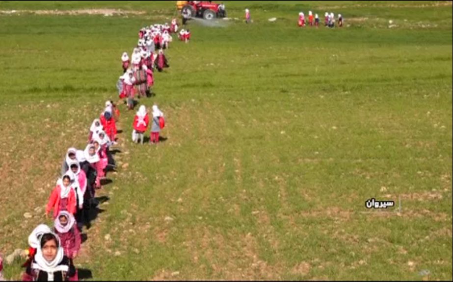 روزی با طبیعت + گزارش