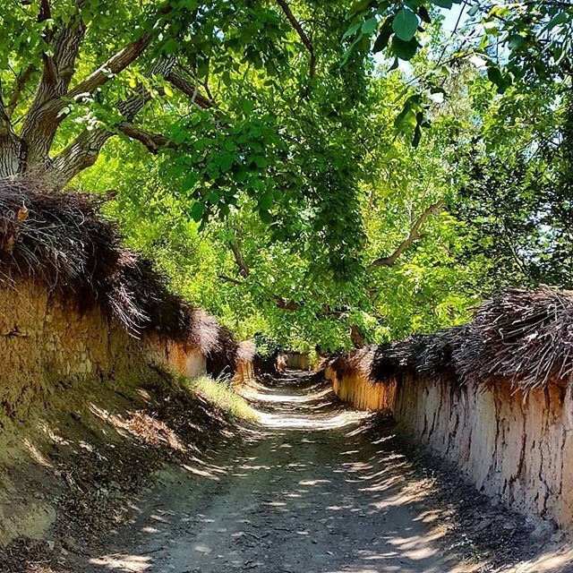 نسیم خنک در فارس