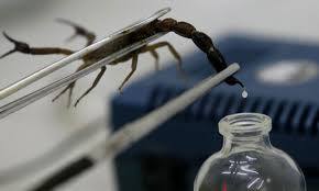 زهری که هم میکشدو هم زندگی می دهد