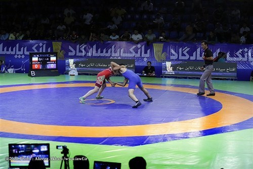 معرفی اعضای کمیته فنی