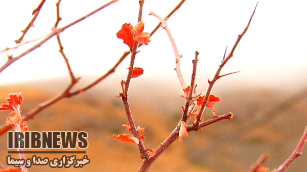 جوی آرام و پایدار در زنجان