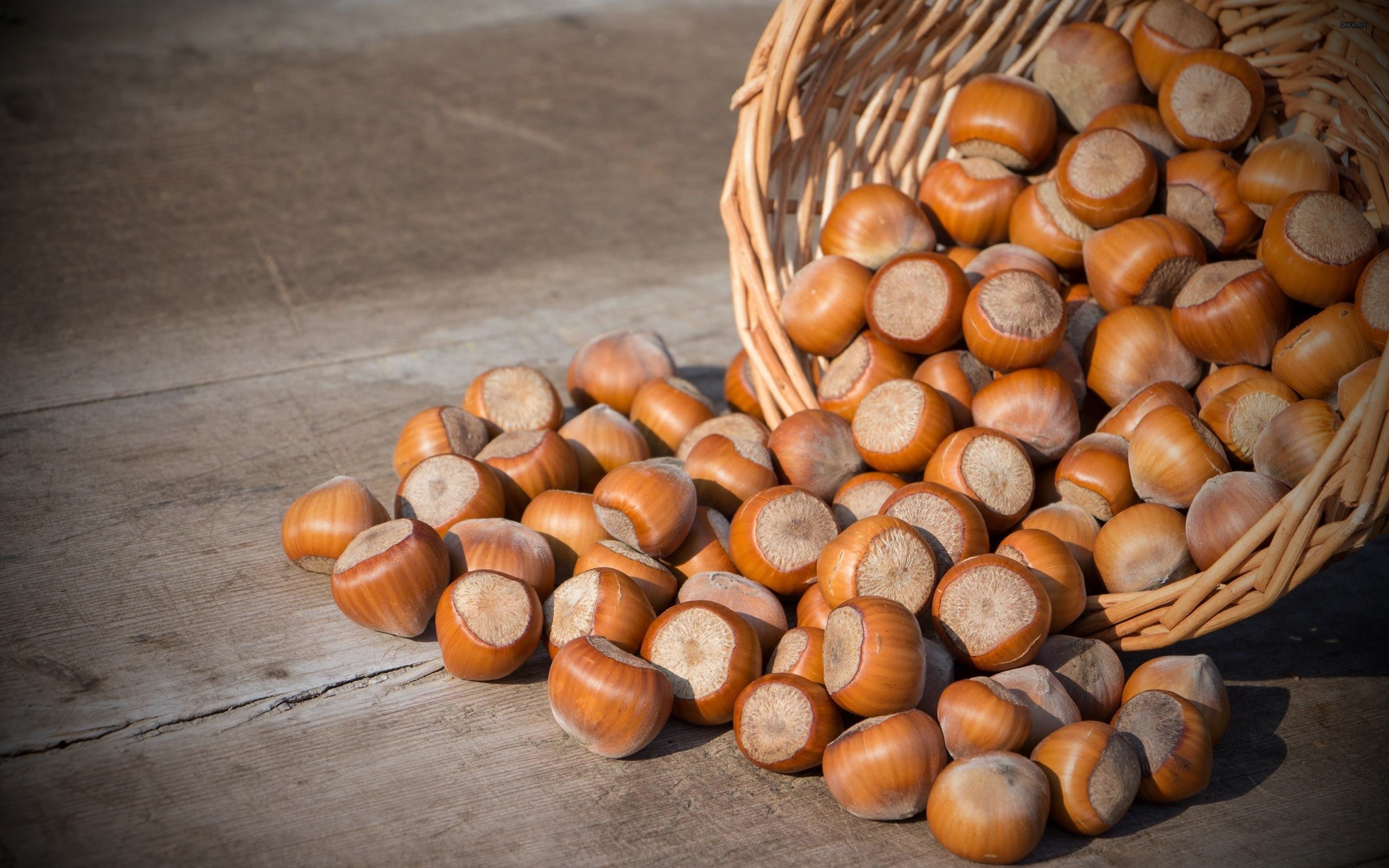 آجیلی که لاغرتان می&zwnj;کند