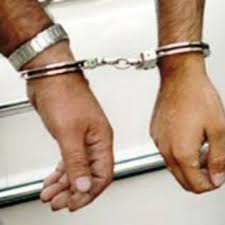 دستگیری ۱۲ سارق درکازرون