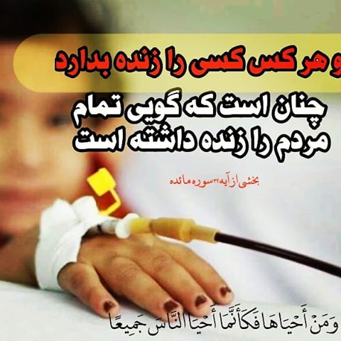 سلام زندگی//لطفا منتشر نشود سلام زندگی//لطفا منتشر نشود