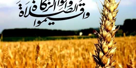 جمع آوری 137 میلیارد ریال زکات در خوزستان