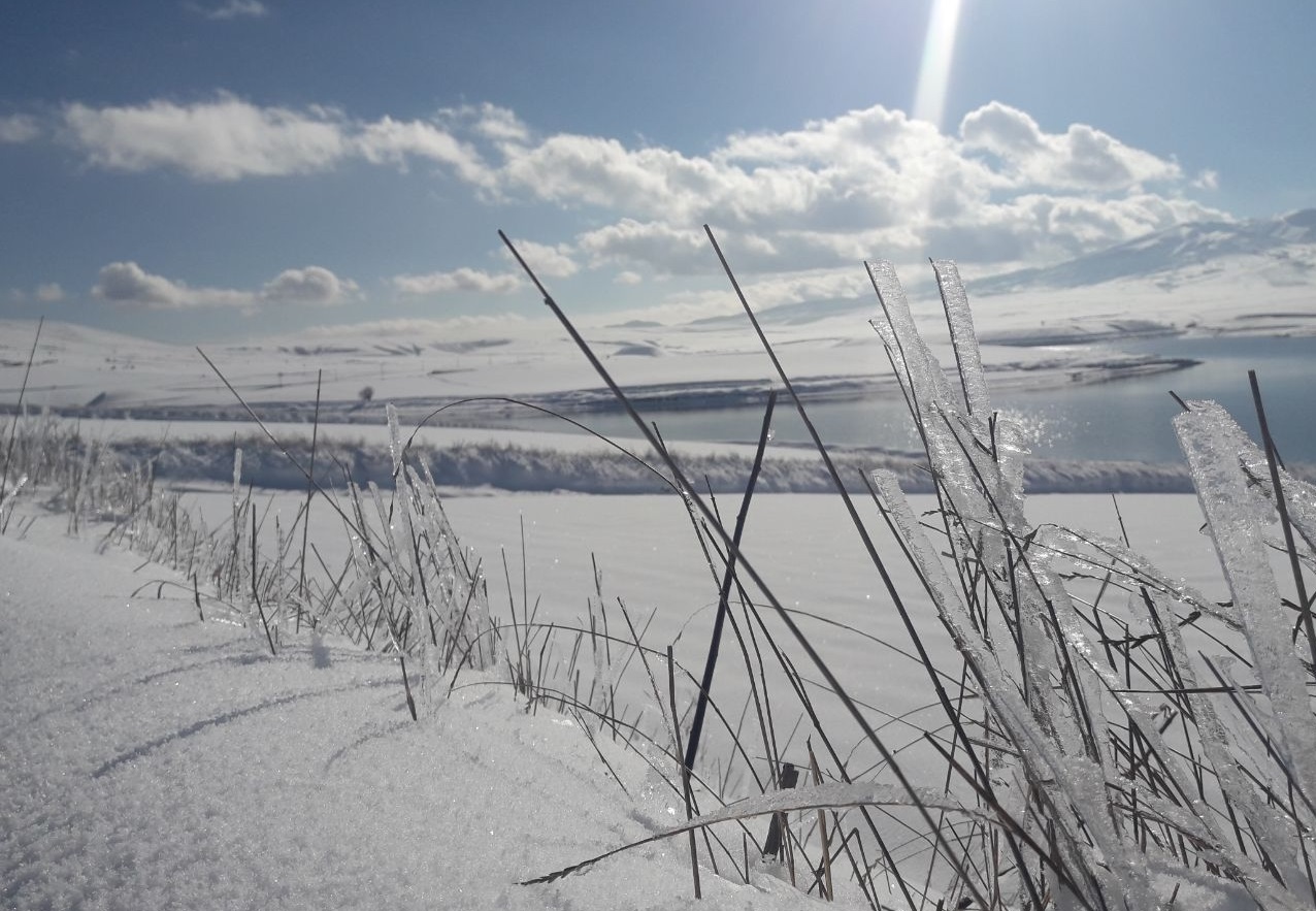 پیش بینی یخبندان در سمنان پیش بینی یخبندان در سمنان