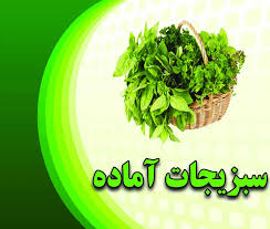 سبزی خوردن بر نربان قیمت