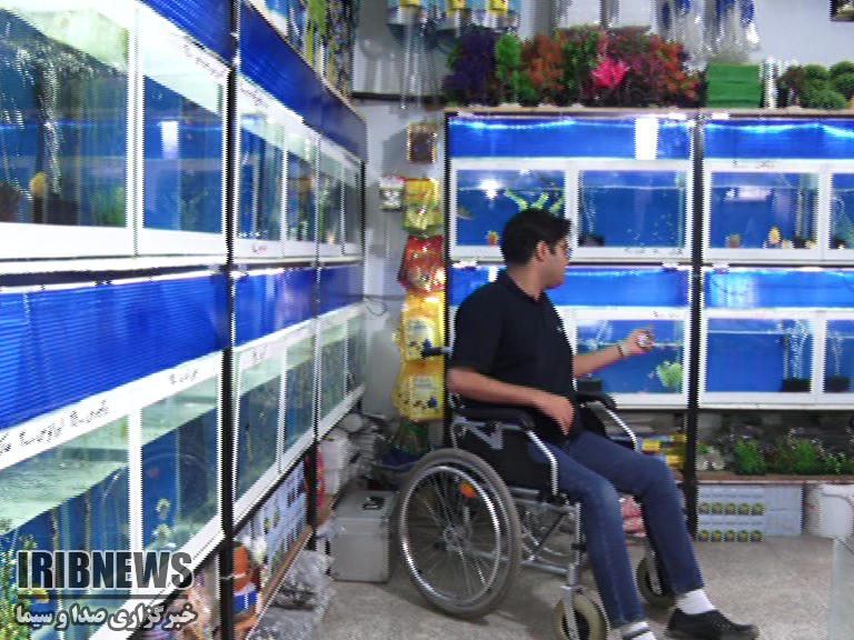 چشم نوازی زینت اشتغال چشم نوازی زینت اشتغال