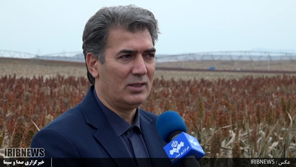 خودکفایی در تولید بذر سورگوم