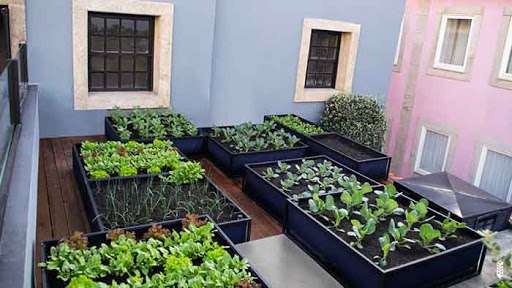 ایده&zwnj;های باغبانی در منزل و آپارتمان