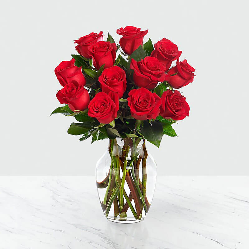مزایای استفاده از گلها و گیاهان در دکوراسیون محیط مزایای استفاده از گلها و گیاهان در دکوراسیون محیط
