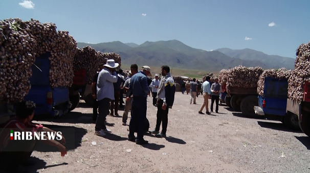 سیری که عطرش لب مرز خوش تر است سیری که عطرش لب مرز خوش تر است
