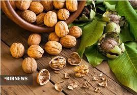 جهش در تولید گردو با جهش در تولید گردو با