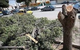 شکستن بال فرشتگان