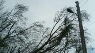 وزش باد شدید در گیلان