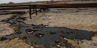 طلای سیاه مهمان ۱۰ ساله مردم سرخون