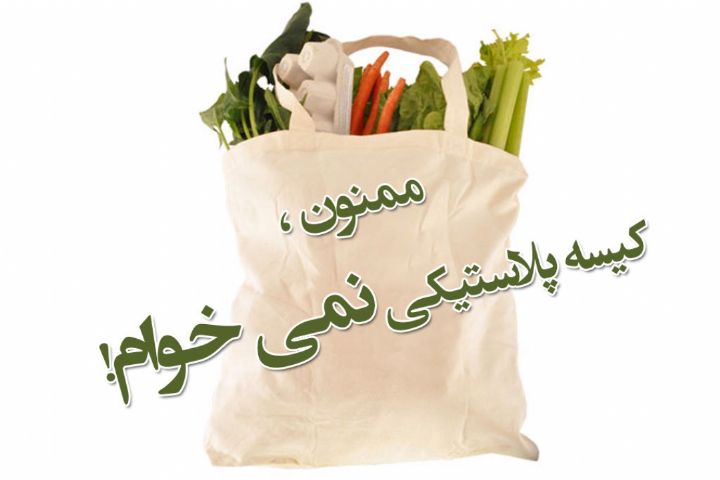 توزیع ۲۷ هزار کیسه پارچه ای