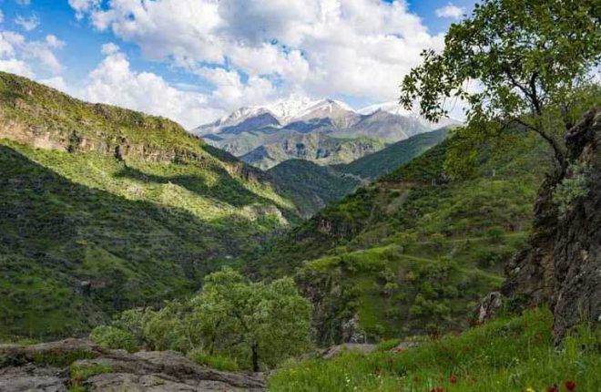 عملیاتی در ۸ روز