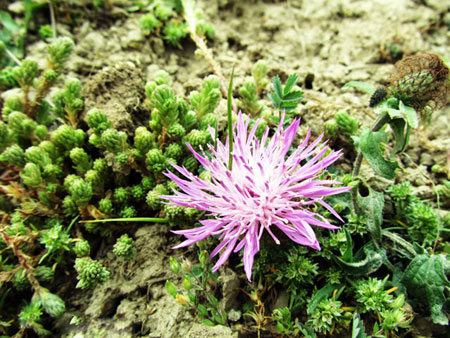 روستای فیلبند، روستایی عجیب و رویایی بر فراز ابرها