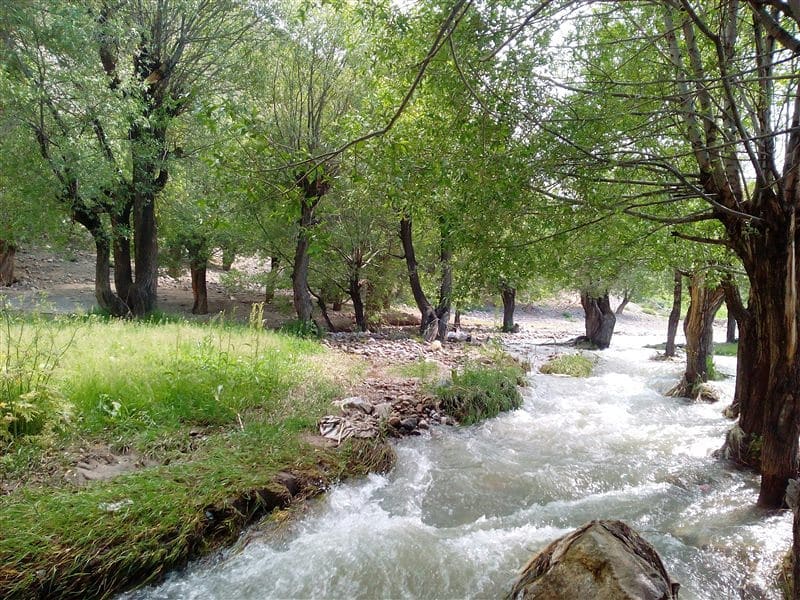 روستای زیبای گره خورده با پنیر