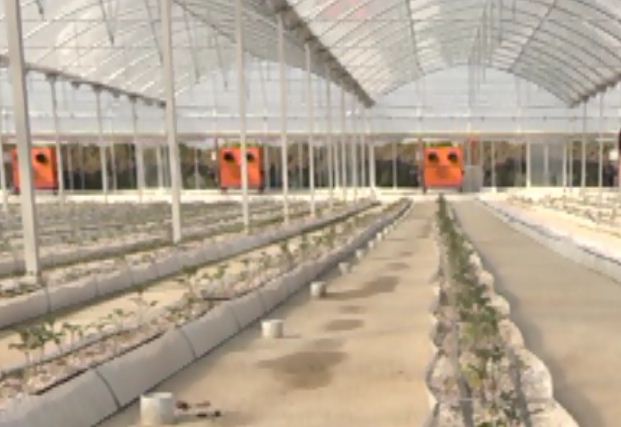 گلخانه زمین گرمایی