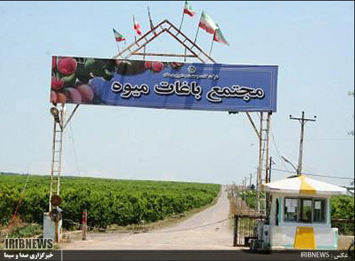 واگذاری شرکت کشت و صنعت و دامپروری مغان، تردیدها وامیدها