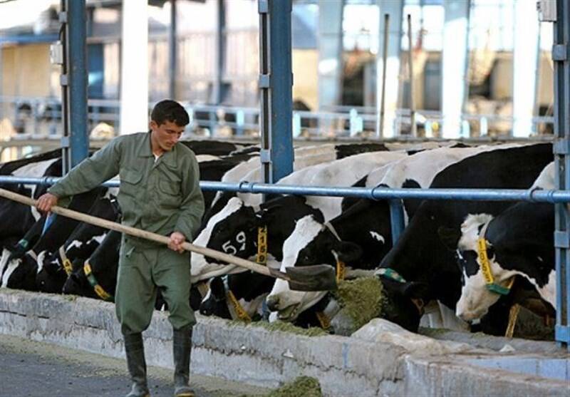 واگذاری شرکت کشت و صنعت و دامپروری مغان، تردیدها وامیدها