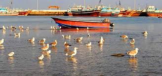 خلیج گواتر ، آخرین خشکی تا قطب جنوب