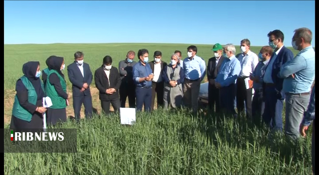 طرح افزایش 30 درصدی تولیدات زراعی در دیمزارهای کشور طرح افزایش 30 درصدی تولیدات زراعی در دیمزارهای کشور