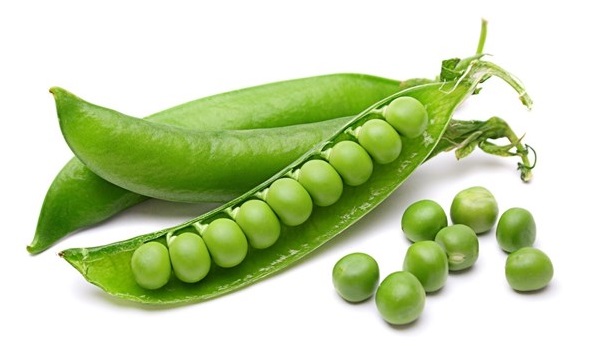 سبزیجاتی که چاقکننده هستند سبزیجاتی که چاقکننده هستند