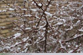 بارش برف در همدان