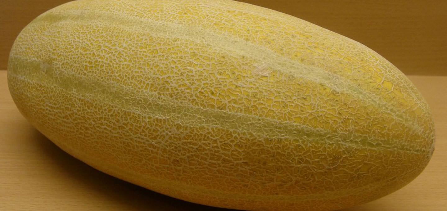 از بین بردن سنگ کلیه با خربزه