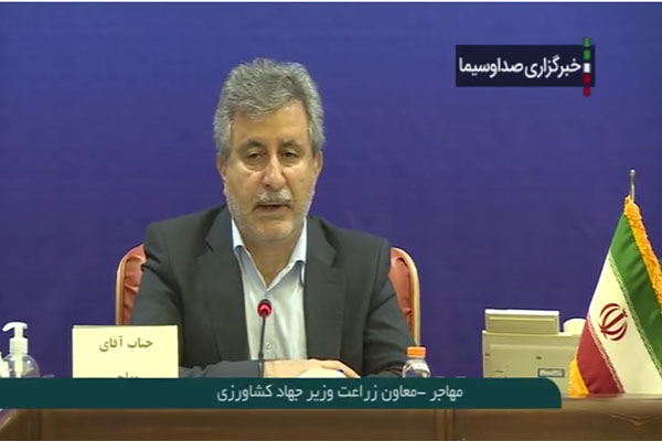 عزم وزارت جهاد کشاورزی و ستاد اجرایی امام برای جهش تولید در دیمزارها