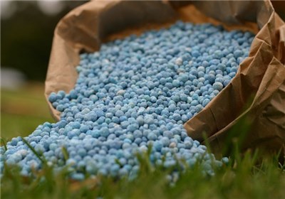 توزیع ۳ هزار تن کود شیمیایی بین کشاورزان مراغه
