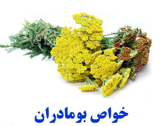 خواص بومادران