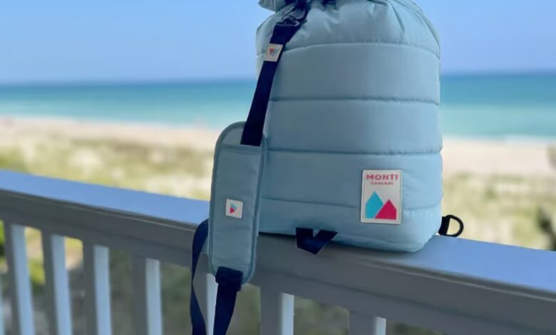 قابل حمل‌ترین یخچال جهان ساخته شد