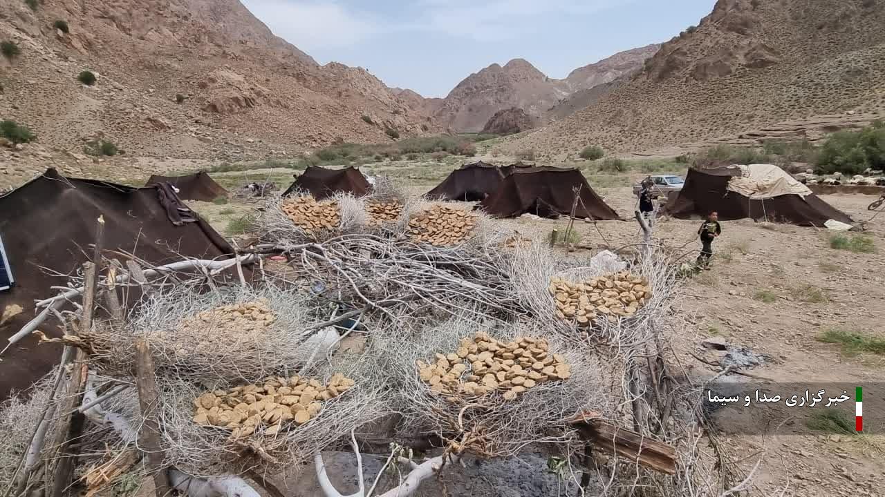 افزایش ۷ درصدی تولیدات گوشت و شیر دام عشایر خراسان جنوبی