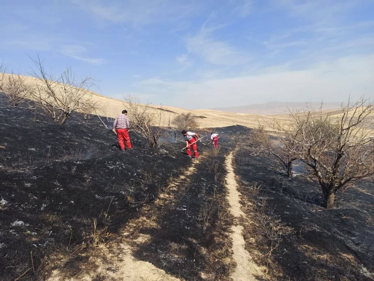 مهار آتش سوزی مراتع تاشه کبود از توابع شهرستان تکاب با تلاش امدادگران هلال احمر 