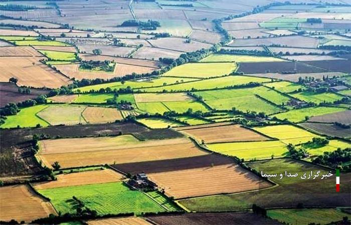 اجرای طرح «جهش تولید» در ۴۳۵ هزار هکتار از دیمزارهای لرستان اجرای طرح «جهش تولید» در ۴۳۵ هزار هکتار از دیمزارهای لرستان