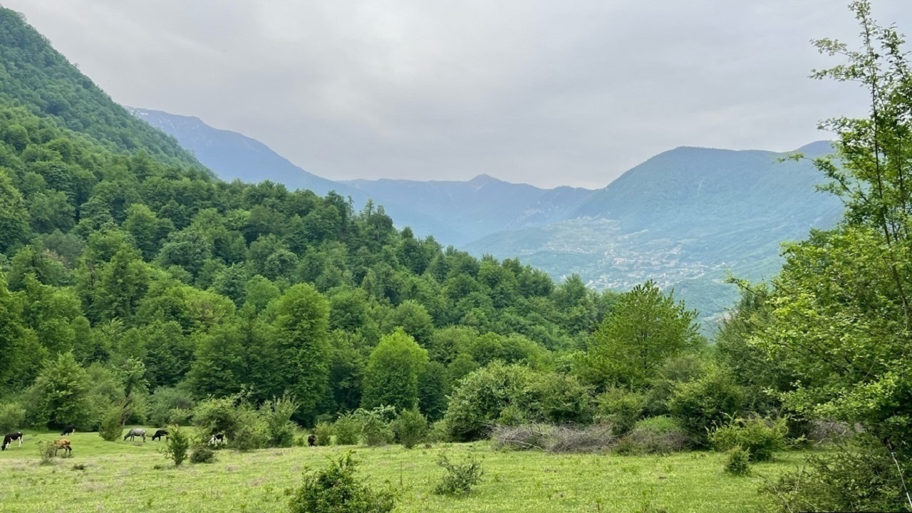 کشف زمین خواری ۱۰۱ میلیارد ریالی در علی آبادکتول و گنبدکاووس