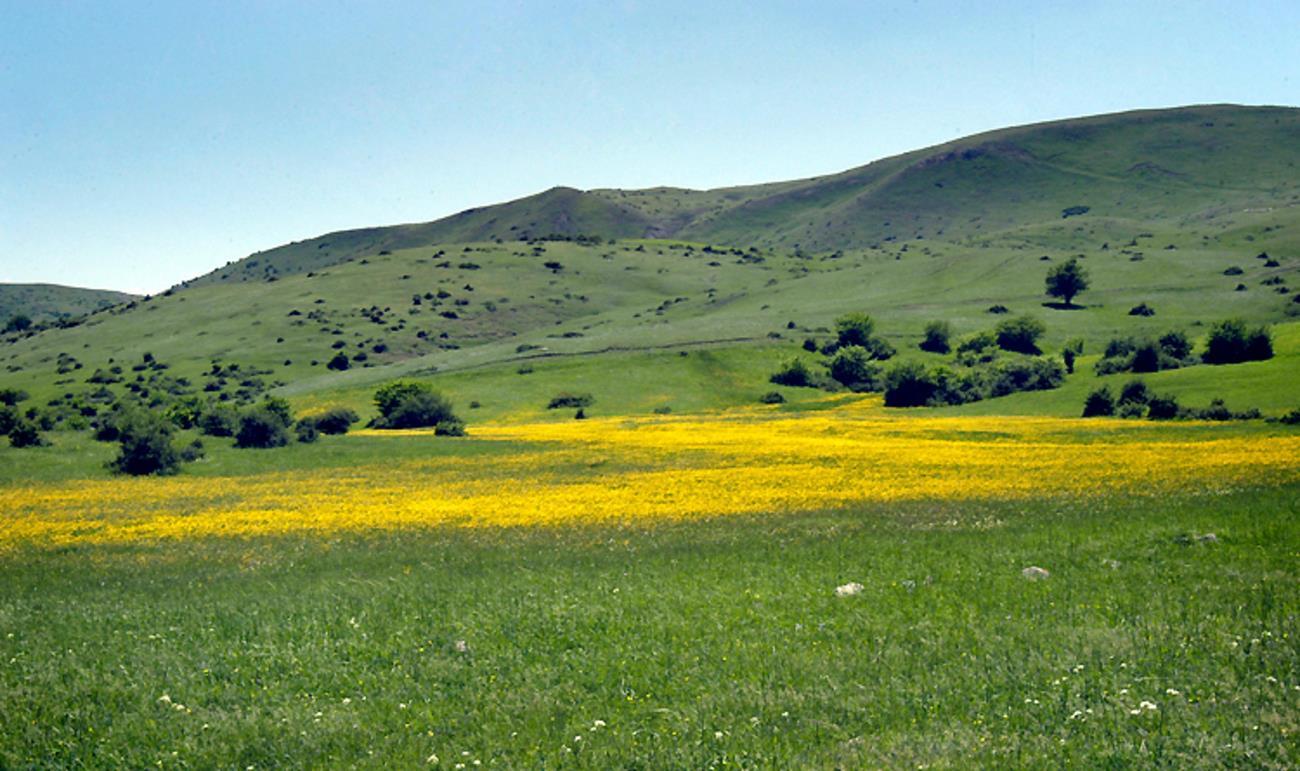 خروج تدریجی سامانه سرد و بارشی از گیلان