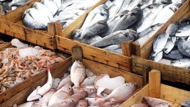 صادرات بیش از ۷۳ هزار تن ماهی و میگو از خوزستان با نظارت بهداشتی